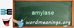 WordMeaning blackboard for amylase